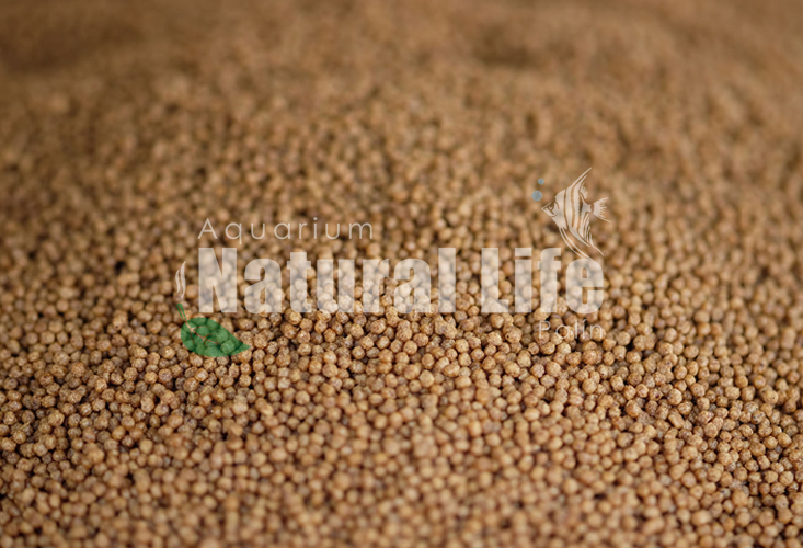 Garlic Premium Pellets NL.