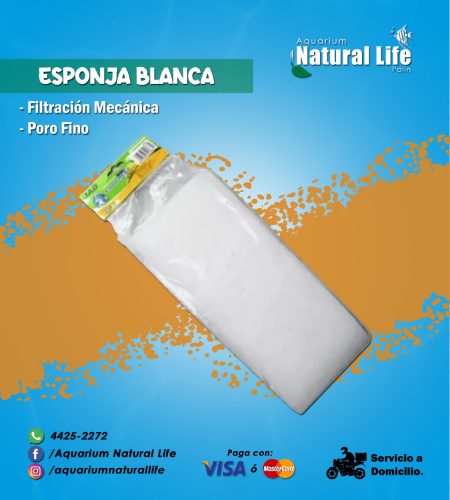 Esponja Blanca Fina JAD. | HB-1.