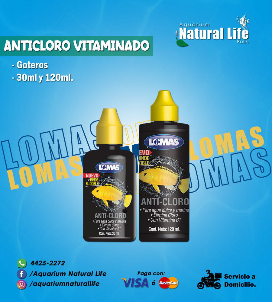 Anticloro con Vitamina B12 Lomas.