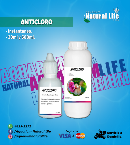 Anticloro Instantáneo NL.