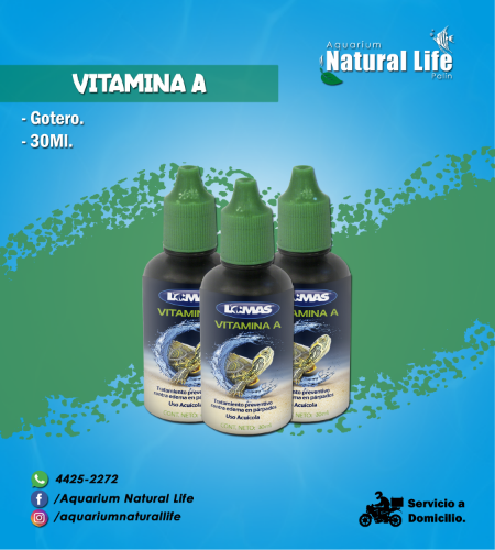 Vitamina A para Tortugas LOMAS. | FL1107.