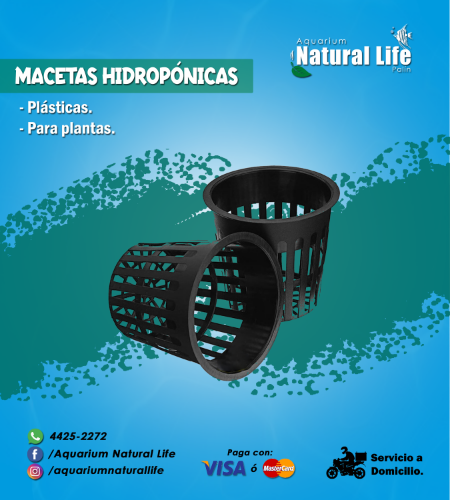 Maceta Hidropónica NL. | HIDROP.