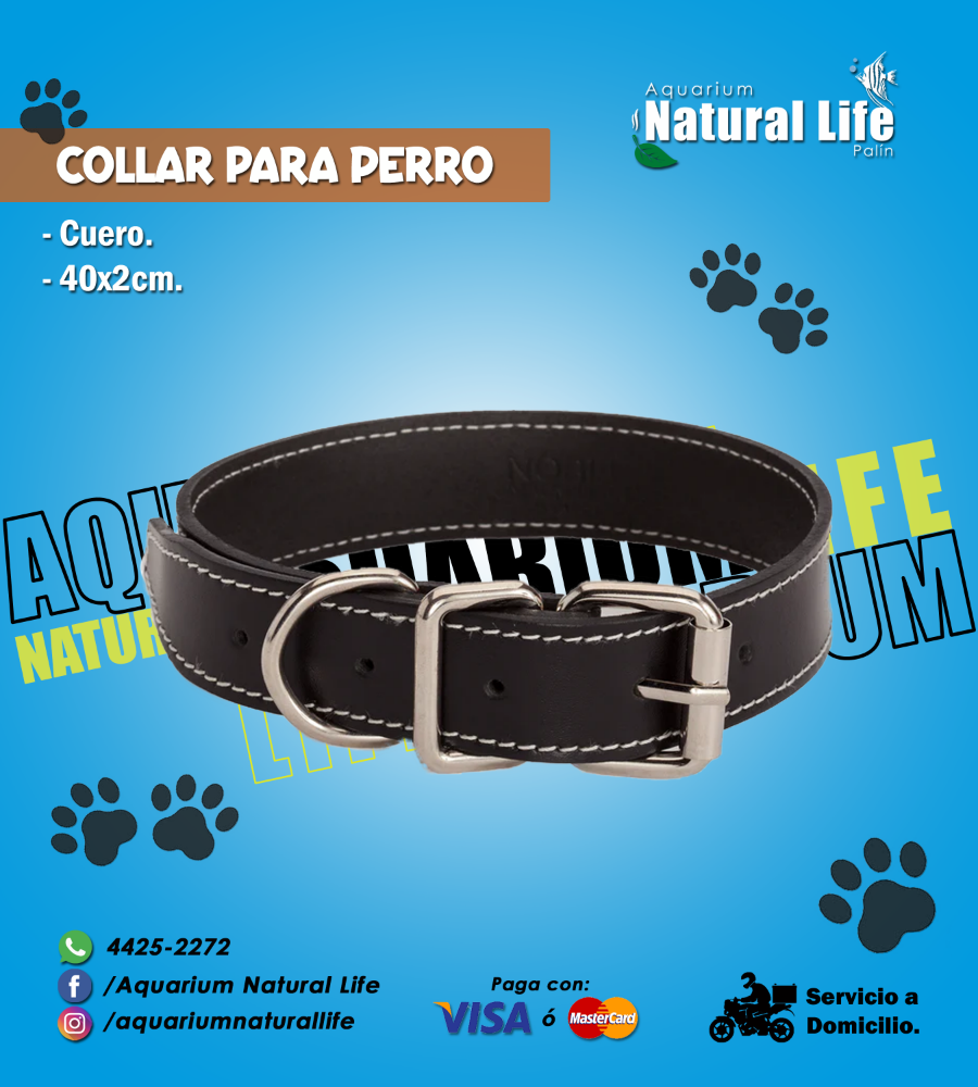 Collar para Perro NL. | COLL-001.