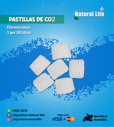 Pastillas de Co2 NL. | PASTCO2.