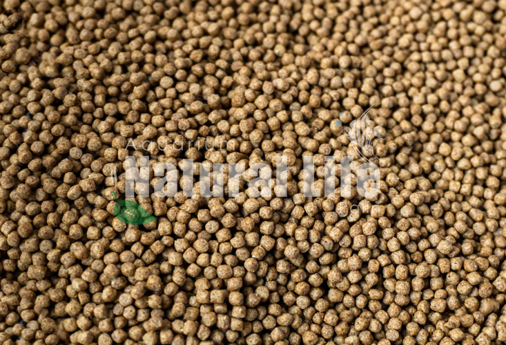 Tilapina Pequeña NL. | TILAP1L.