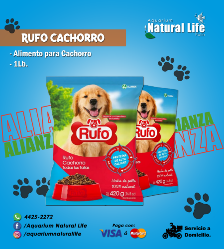 Rufo Cachorro ALIANZA. | RUFC-1L.