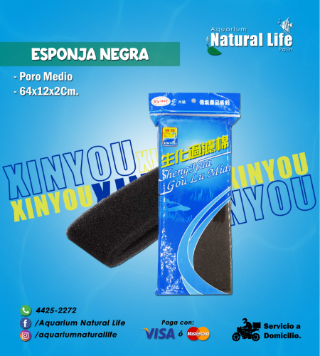 Esponja Negra Poro Medio XINYOU. | XY-1812.