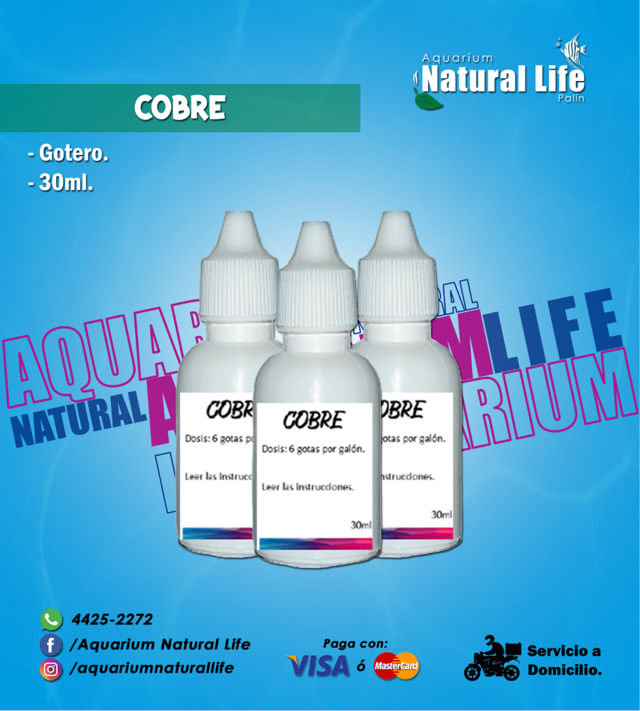 Cobre NL. | COB30.