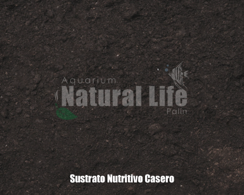 Sustrato Nutritivo Casero NL.