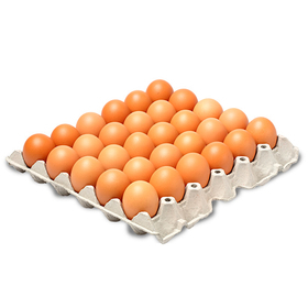 CUBETA DE HUEVOS AA