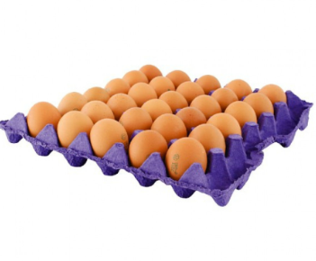 HUEVOS B