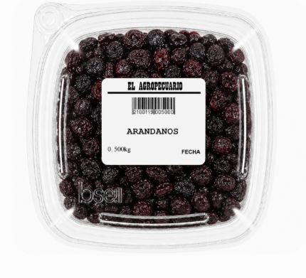 ARANDANOS X500G
