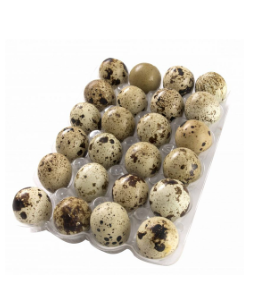 HUEVOS DE CODORNIZ ALFA