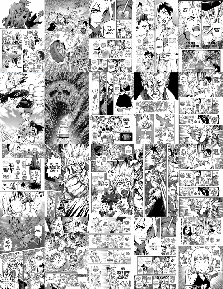 DECOMURAL DR. STONE