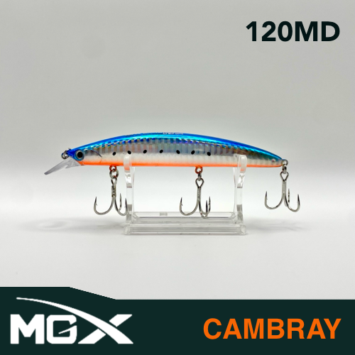 CAMBRAY 120MD - 001 - ORANGE BELLY SARDINE
