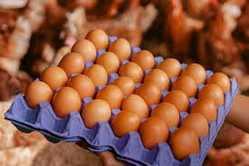 HUEVOS VENPOR CARTON