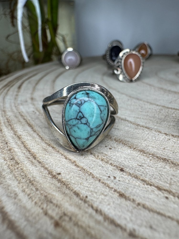 Anillos 6