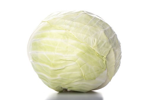 Repollo