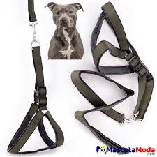 Pechera con Arnes para Perro pequeño 1