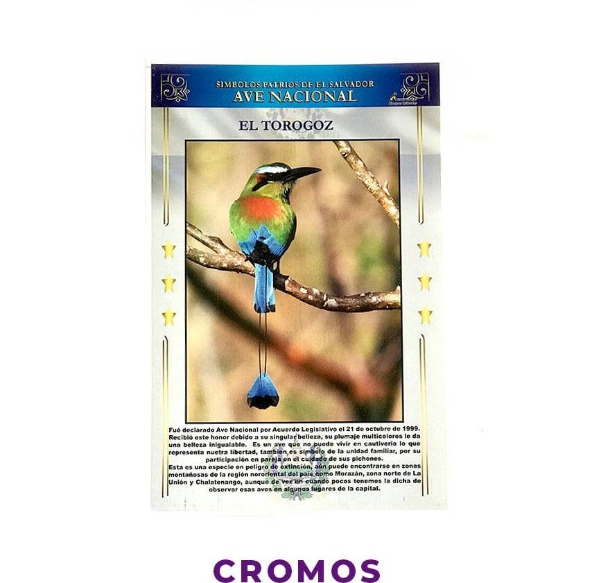 Cromos grandes