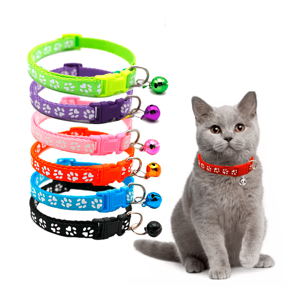 Collar para gato