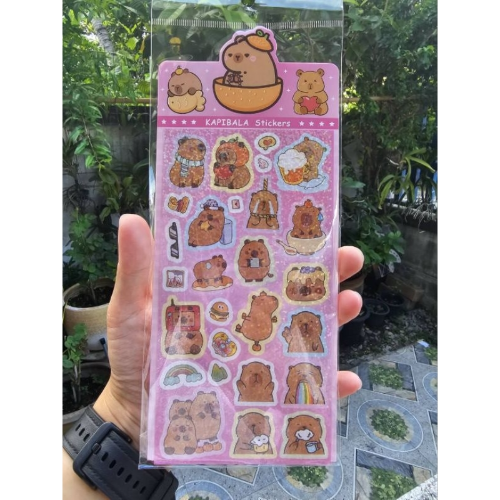 Paquete de Sticker de Capibara