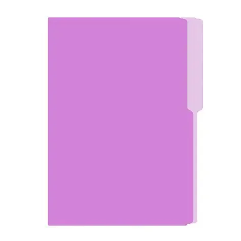 Folder FlashFile Tamaño Oficio Lila