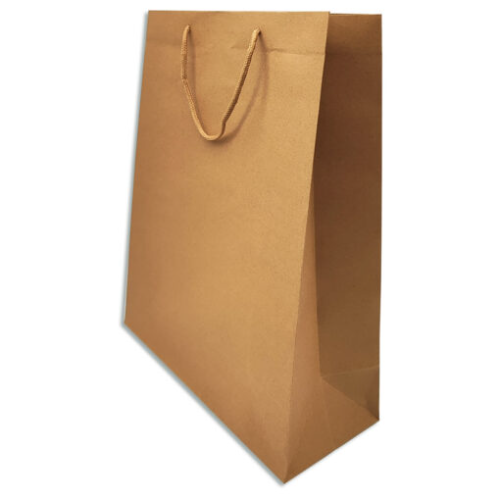 Bolsa de regalo Kraft #5
