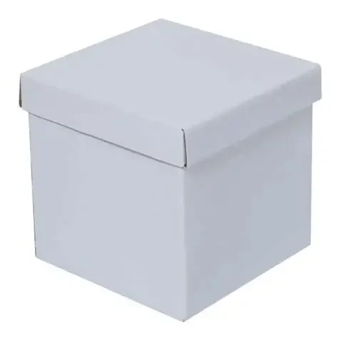 Caja Cubo Grande color blanco T5