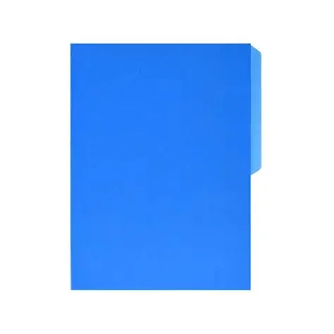 Folder FlashFile Tamaño Carta Celeste