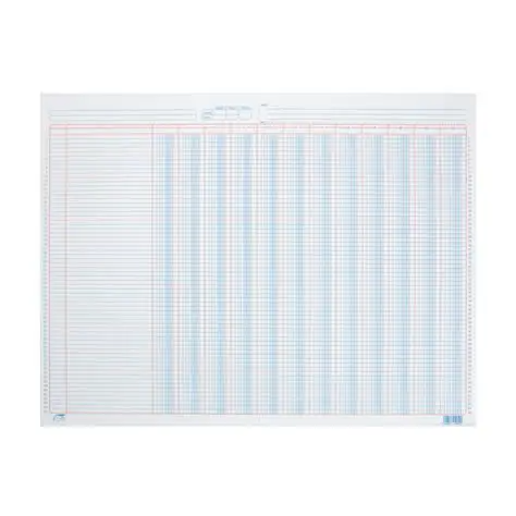 Hoja Tabular 10 columnas para contabilidad