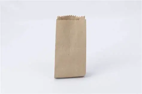 Bolsa Kraft 1 Libra