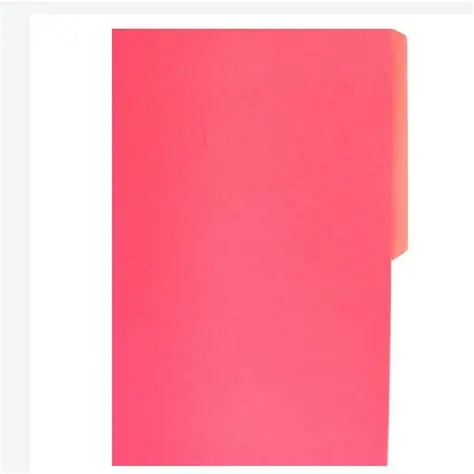 Folder FlashFile Tamaño Carta Coral