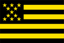 Bandera Peñarol 60x90