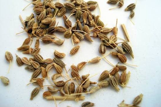 Anis en Grano