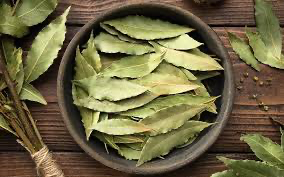 Laurel Hoja