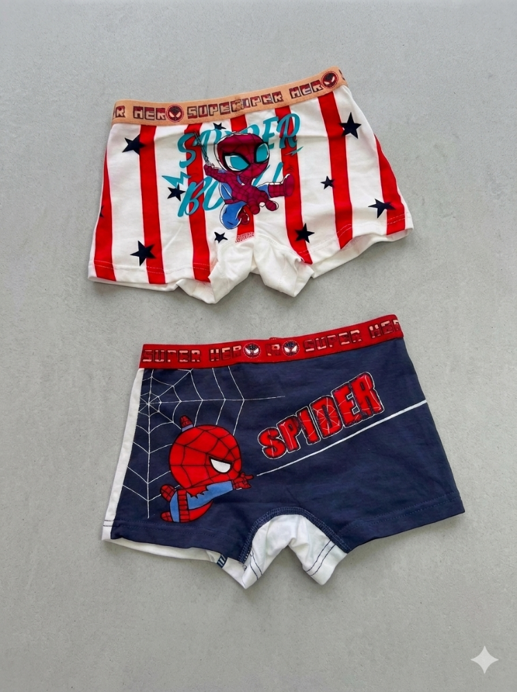 SPIDER