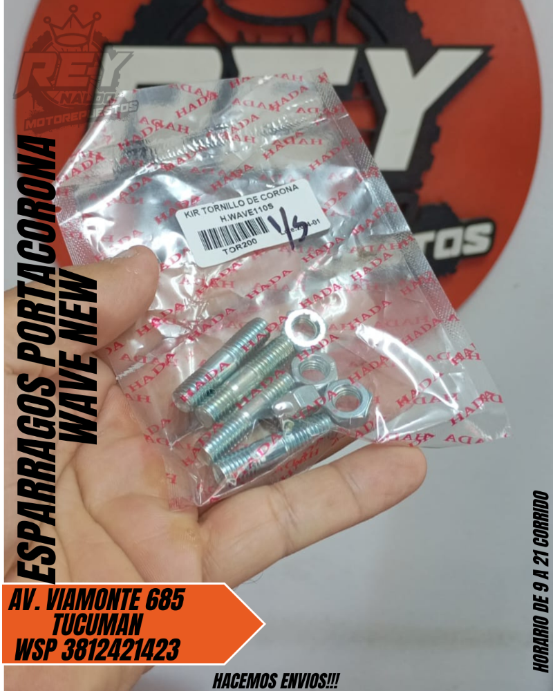 KIT TORNILLOS DE PORTA CORONA WAVE NEW - REY MOTOREPUESTOS