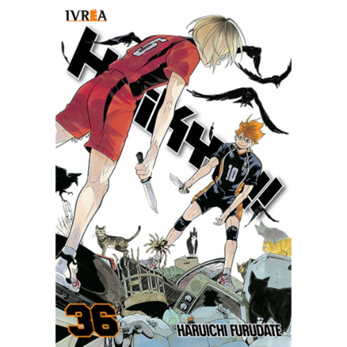 HAIKYUU #36