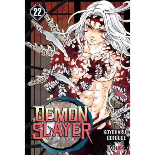 DEMON SLAYER #22
