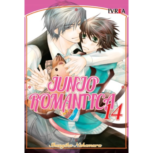 JUNTA ROMÁNTICA #14