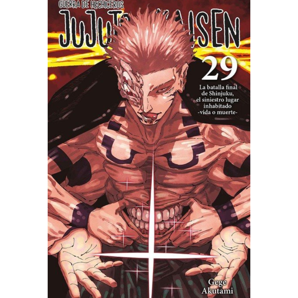 JUJUTSU KAISEN NORMA #29