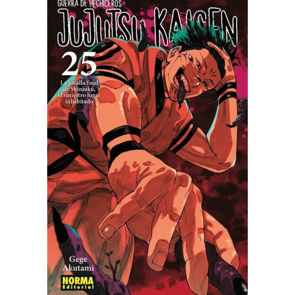 JUJUTSU KAISEN NORMA #25