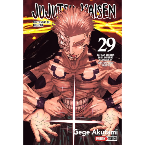 JUJUTSU KAISEN #29