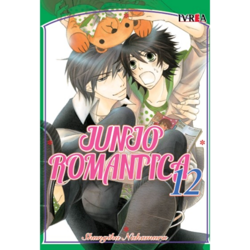 JUNTA ROMÁNTICA #12