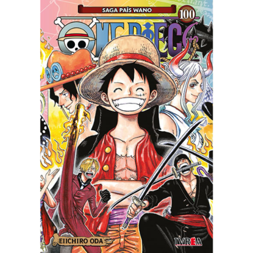 ONE PIECE #100