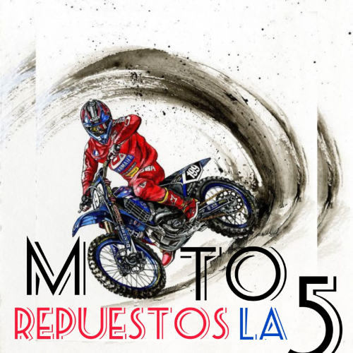 almacen motorepuestos la 5