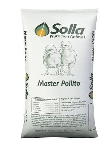 MASTER POLLITO