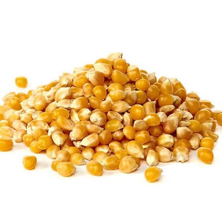 MAIZ CRISPETA