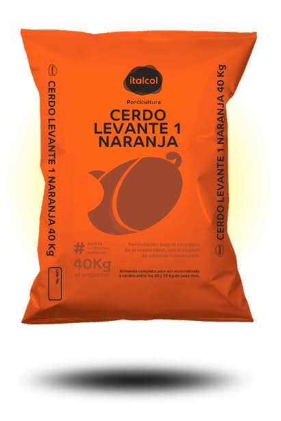LEVANTE CERDO